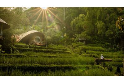 Bambu Indah's Treehouses Named Among the World's Most Spectacular by BBC Culture