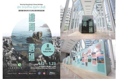 A Symbol of Prosperity to a Hopeful Action -- Reviving Hong Kong's Ocean Heritage