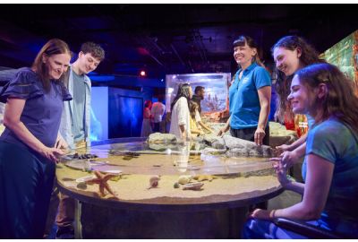 SEA LIFE Melbourne unveils Rocky Shores, an interactive rockpool journey into Victoria's Coastline