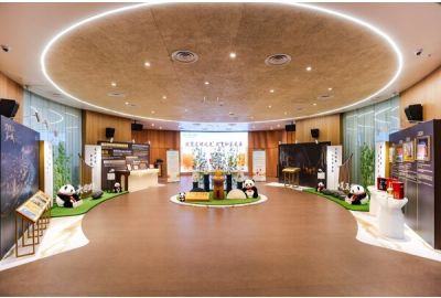 Xinhua Silk Road: SE China city Ningde holds tasting in Hong Kong to bolster local tea industry