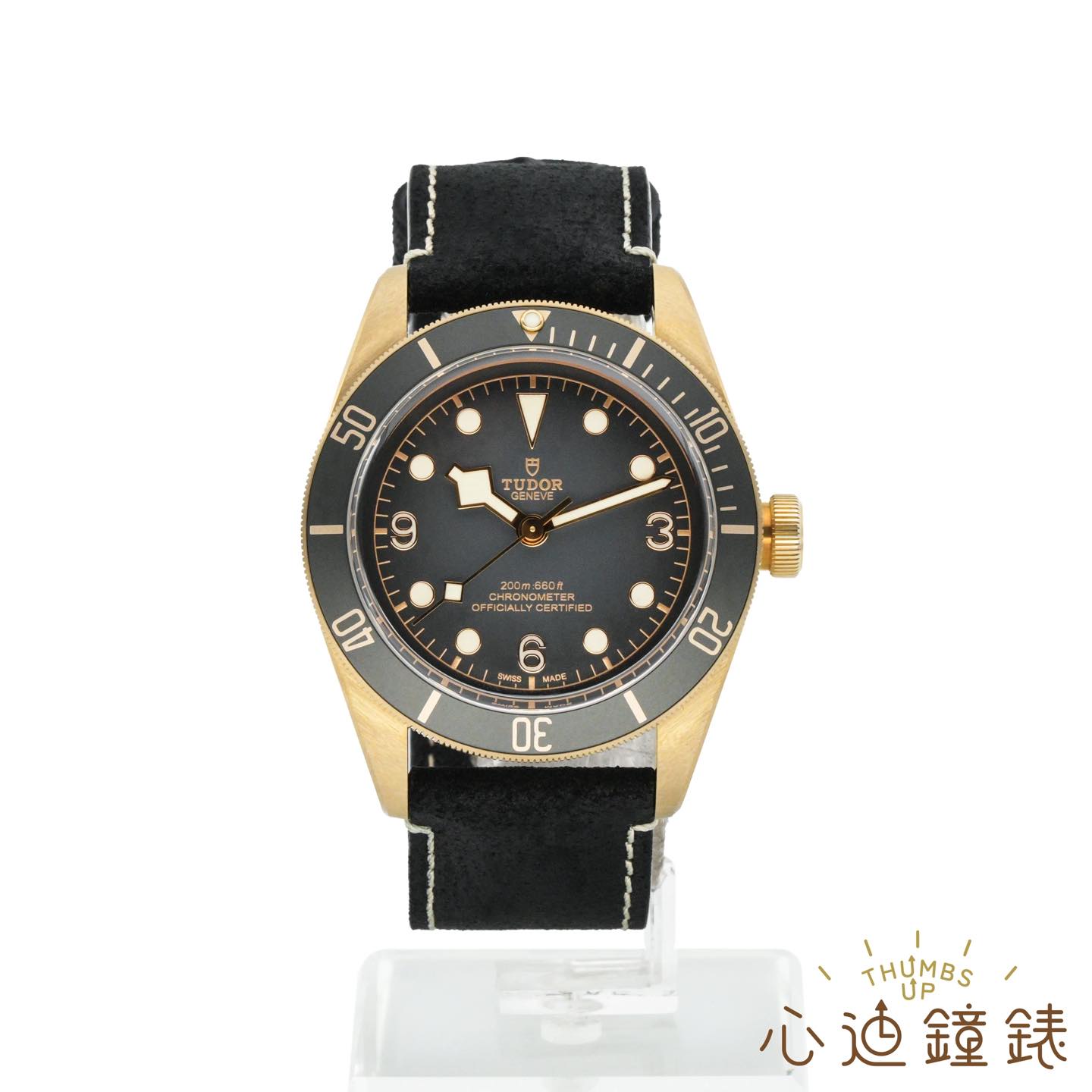 TUDOR BLACK BAY M79250BA-0001