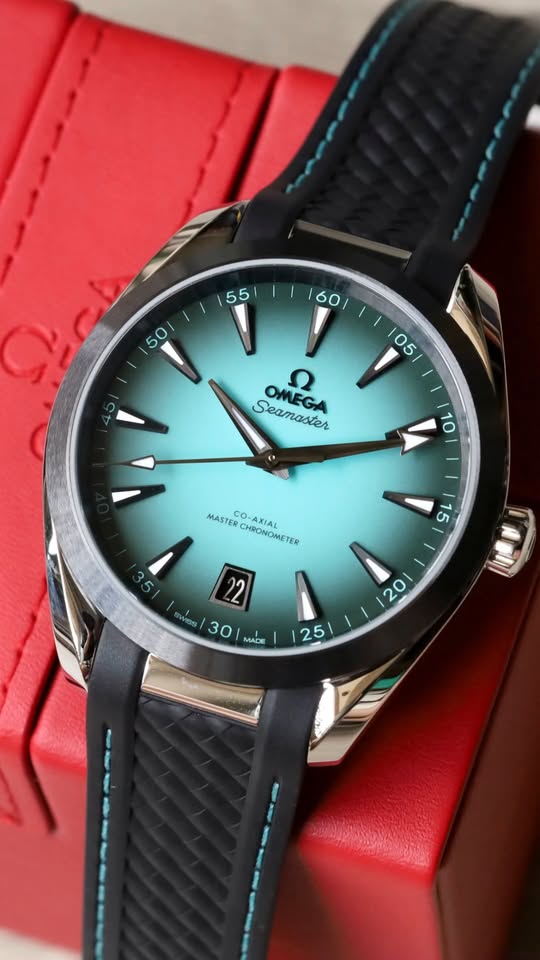OMEGA SEAMASTER 220.32.41.21.03.001