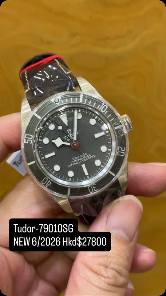 TUDOR BLACK BAY M79010SG-0002