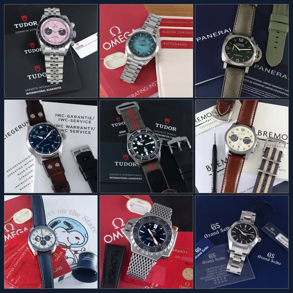 TUDOR BLACK BAY M79360N-0019