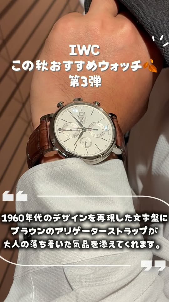 IWC PORTOFINO IW391027
