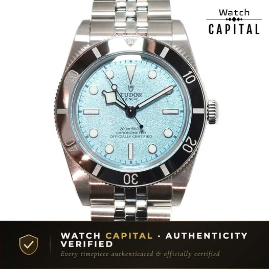 TUDOR BLACK BAY M79000-0001