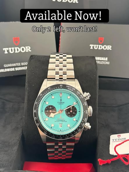 TUDOR BLACK BAY M79360N-0019